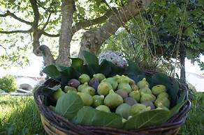 Masseria Chiancone Torricella