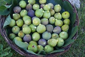 Masseria Chiancone Torricella