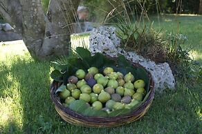 Masseria Chiancone Torricella