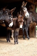 Masseria Chiancone Torricella