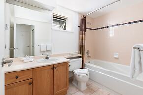 The Woodrun by Whiski Jack