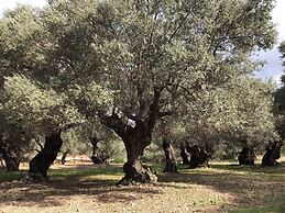 Hotel Maristel & Spa - Adults Only