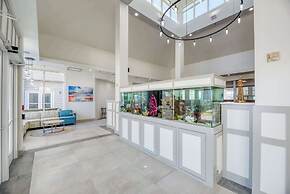 Hilton Garden Inn Outer Banks/Kitty Hawk