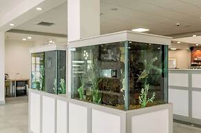 Hilton Garden Inn Outer Banks/Kitty Hawk