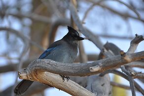 Mourelatos Lakeshore Resort