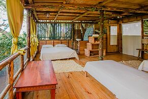Cabarete Boutique Ecolodge Beachfront