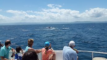 Cabarete Boutique Ecolodge Beachfront