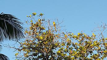 Cabarete Boutique Ecolodge Beachfront