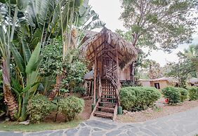 Cabarete Boutique Ecolodge Beachfront