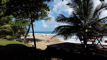Cabarete Boutique Ecolodge Beachfront
