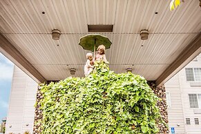 Comfort Inn and Suites Salem