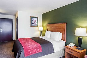 Comfort Inn and Suites Salem