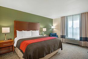 Comfort Inn & Suites Salem Northeast