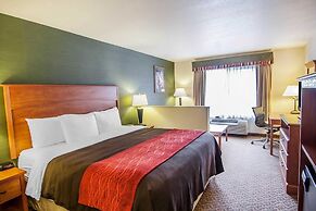 Comfort Inn and Suites Salem