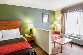 Comfort Inn and Suites Salem