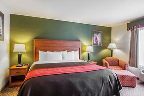 Comfort Inn and Suites Salem