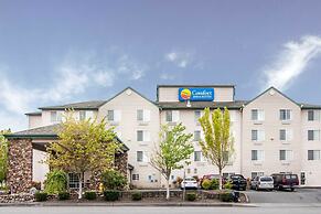 Comfort Inn and Suites Salem