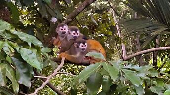 ECOTICA Boutique Hotel