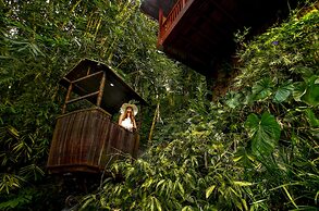 Nandini Jungle by Hanging Gardens