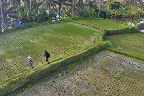 Nandini Jungle by Hanging Gardens