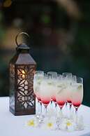 Nandini Jungle by Hanging Gardens