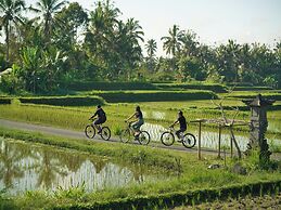 Nandini Jungle by Hanging Gardens