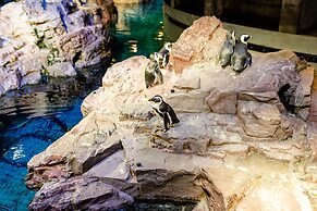 The Westin Boston Seaport District