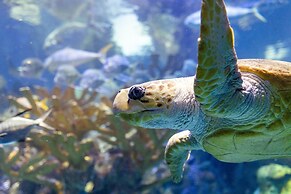 The Westin Boston Seaport District