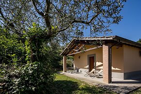 Agriturismo Poggio Degli Olivi - Guest House