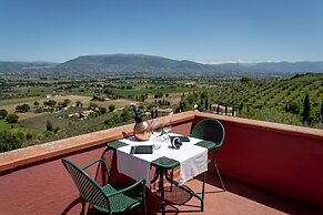 Agriturismo Poggio Degli Olivi - Guest House
