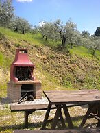 Agriturismo Poggio Degli Olivi - Guest House