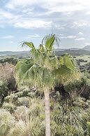 Fergus Club Carema Splash