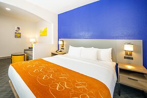 Comfort Suites University Drive