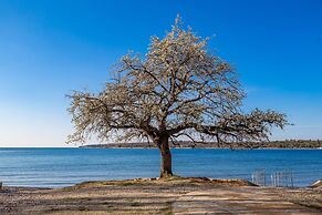 Apartment House Volta