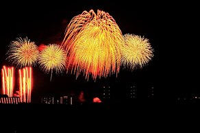 Blue Heron Beach Resort