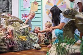 The Ravenala Attitude