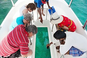 The Ravenala Attitude