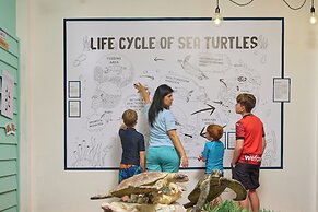 The Ravenala Attitude