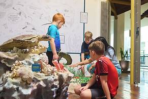 The Ravenala Attitude