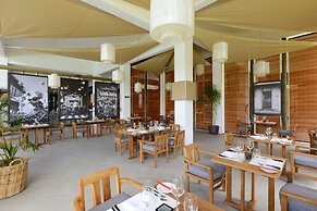 The Ravenala Attitude