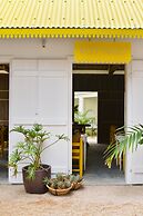 The Ravenala Attitude