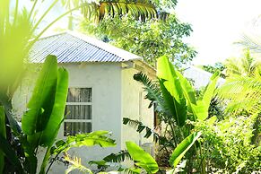 The Ravenala Attitude