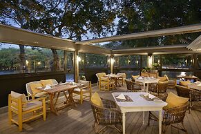 The Ravenala Attitude