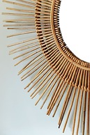 The Ravenala Attitude