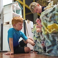 The Ravenala Attitude