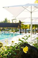 The Ravenala Attitude