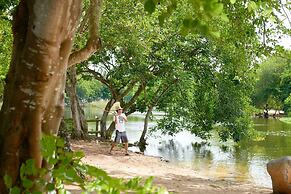 The Ravenala Attitude