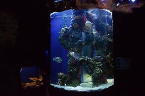 Hotel Palacio Azteca