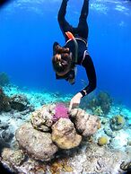 Kamezí Boutique Villas