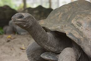 Hilton Seychelles Labriz Resort & Spa